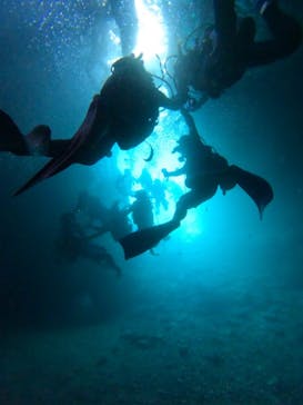 沖縄マリンサービス碧に投稿された画像（2024/7/6）