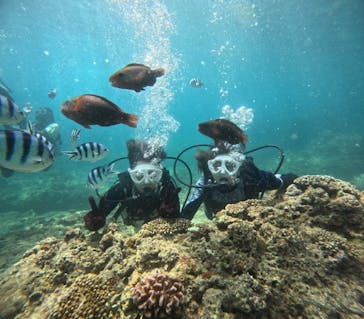 沖縄マリンサービス碧に投稿された画像（2024/7/6）