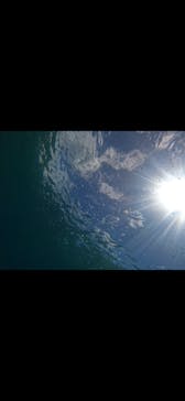 武藤潜水に投稿された画像（2024/7/6）