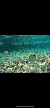 武藤潜水に投稿された画像（2024/7/6）