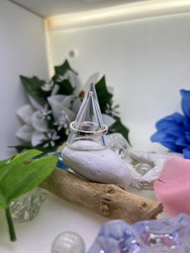 石彩に投稿された画像（2024/7/6）