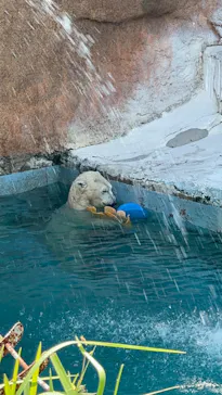 天王寺動物園に投稿された画像（2024/7/6）