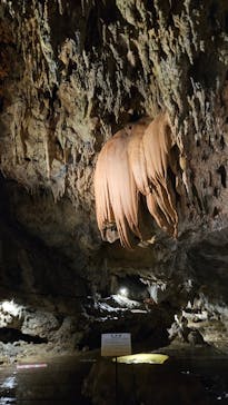 CAVE OKINAWAに投稿された画像（2024/7/6）
