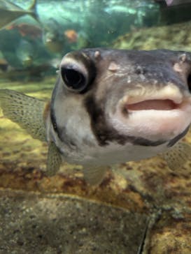 鴨川シーワールドに投稿された画像（2024/7/6）