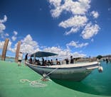 青の洞窟専門店　沖縄ダイビングショップ和に投稿された画像（2024/7/6）