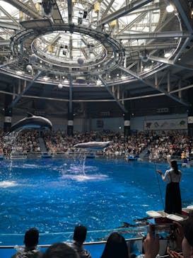 マクセル アクアパーク品川に投稿された画像（2024/7/6）