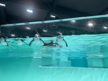 AOAO SAPPOROに投稿された画像（2024/7/6）