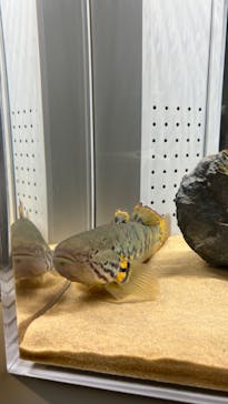 AOAO SAPPOROに投稿された画像（2024/7/6）