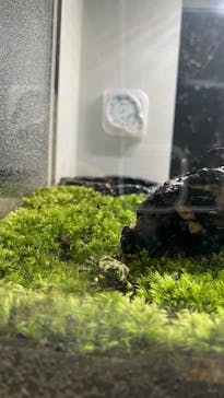 AOAO SAPPOROに投稿された画像（2024/7/6）