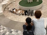 猫カフェモカ イオンモール神戸北店に投稿された画像（2024/7/6）