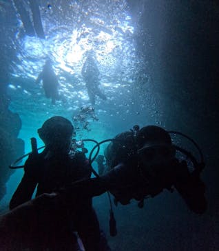 沖縄マリンサービス碧に投稿された画像（2024/7/6）