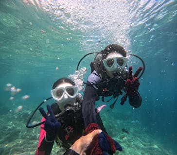 沖縄マリンサービス碧に投稿された画像（2024/7/6）