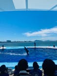 四国水族館に投稿された画像（2024/7/6）