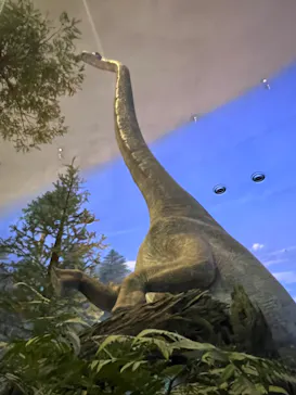 福井県立恐竜博物館に投稿された画像（2024/7/6）