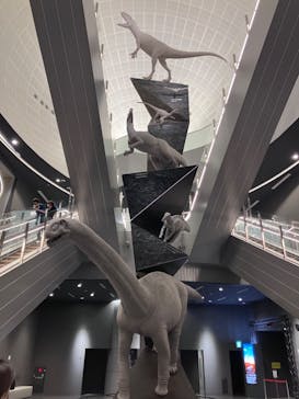 福井県立恐竜博物館に投稿された画像（2024/7/6）