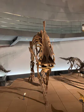 福井県立恐竜博物館に投稿された画像（2024/7/6）