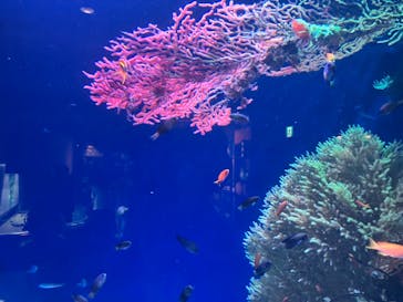 マリンワールド海の中道に投稿された画像（2024/7/6）