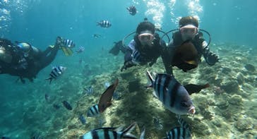 武藤潜水に投稿された画像（2024/7/6）