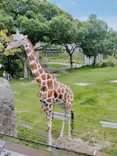 天王寺動物園に投稿された画像（2024/7/6）