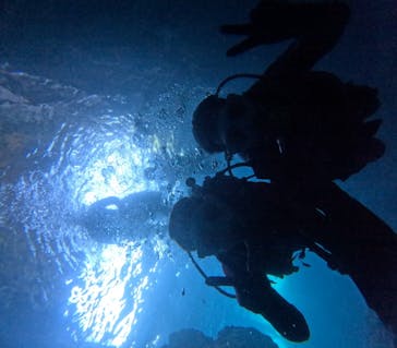 沖縄マリンサービス碧に投稿された画像（2024/7/6）