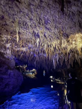 おきなわワールドに投稿された画像（2024/7/6）