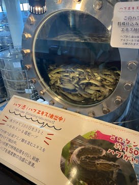 おきなわワールドに投稿された画像（2024/7/6）