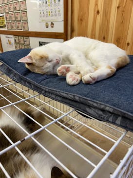 那須どうぶつ王国に投稿された画像（2024/7/6）