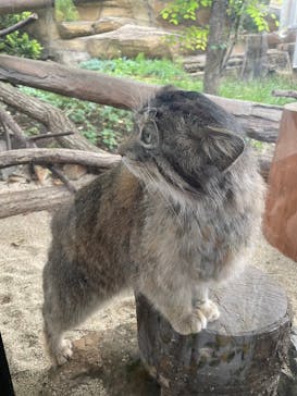 那須どうぶつ王国に投稿された画像（2024/7/6）