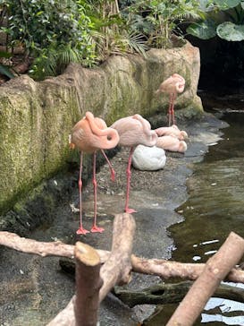 那須どうぶつ王国に投稿された画像（2024/7/6）