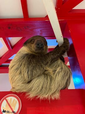 アニタッチららぽーと名古屋みなとアクルスに投稿された画像（2024/7/6）