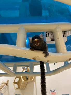 アニタッチららぽーと名古屋みなとアクルスに投稿された画像（2024/7/6）