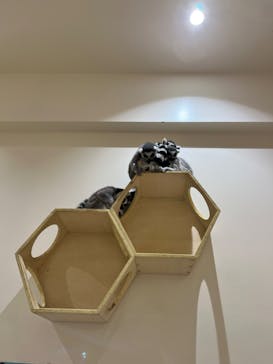 アニタッチららぽーと名古屋みなとアクルスに投稿された画像（2024/7/6）