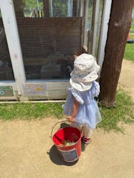 のじまスコーラ　のじま動物園に投稿された画像（2024/7/6）