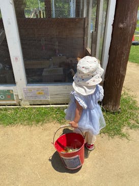 のじまスコーラ　のじま動物園に投稿された画像（2024/7/6）