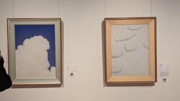 大分県立美術館に投稿された画像（2024/7/6）