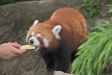 熱川バナナワニ園に投稿された画像（2024/7/6）