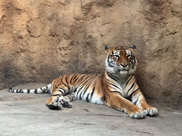 日立市かみね動物園に投稿された画像（2024/7/6）