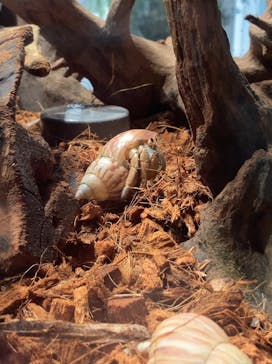 AOAO SAPPOROに投稿された画像（2024/7/6）