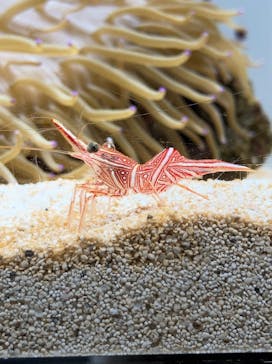 AOAO SAPPOROに投稿された画像（2024/7/6）