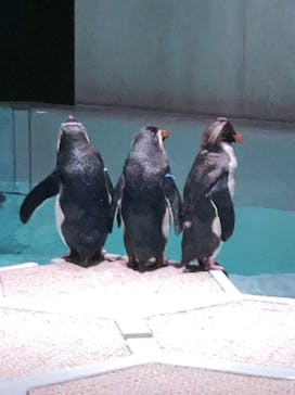 AOAO SAPPOROに投稿された画像（2024/7/6）