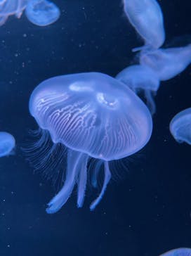 AOAO SAPPOROに投稿された画像（2024/7/6）