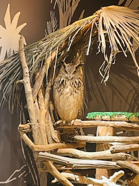 カワスイ 川崎⽔族館に投稿された画像（2024/7/6）