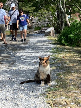 今帰仁城跡に投稿された画像（2024/7/6）
