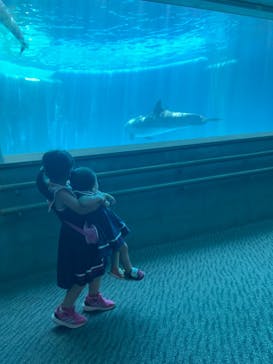 大分マリーンパレス水族館 「うみたまご」に投稿された画像（2024/7/6）