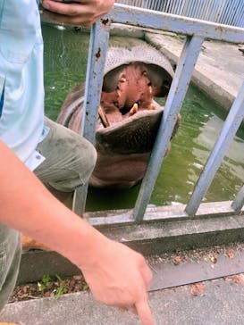 宇都宮動物園に投稿された画像（2024/7/6）