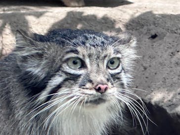 神戸どうぶつ王国に投稿された画像（2024/7/6）