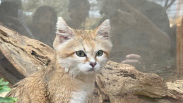 神戸どうぶつ王国に投稿された画像（2024/7/6）