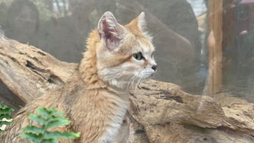 神戸どうぶつ王国に投稿された画像（2024/7/6）