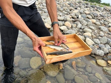 ゆいのふね 〜長良川〜に投稿された画像（2024/7/6）