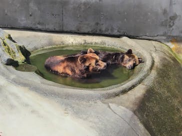 阿蘇カドリー・ドミニオンに投稿された画像（2024/7/6）